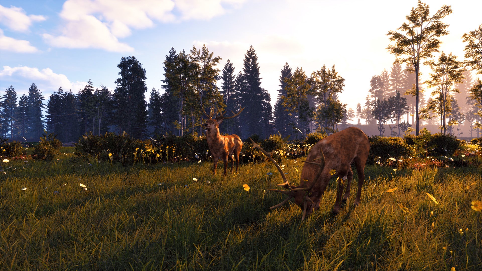 Windstorm: Start of a Great Friendship Remastered - PlayStation 5 - Video Games by Mindscape The Chelsea Gamer