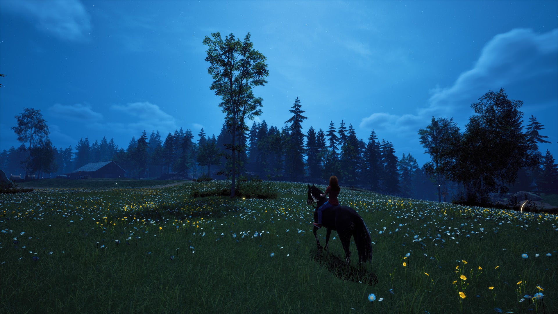 Windstorm: Start of a Great Friendship Remastered - PlayStation 5 - Video Games by Mindscape The Chelsea Gamer