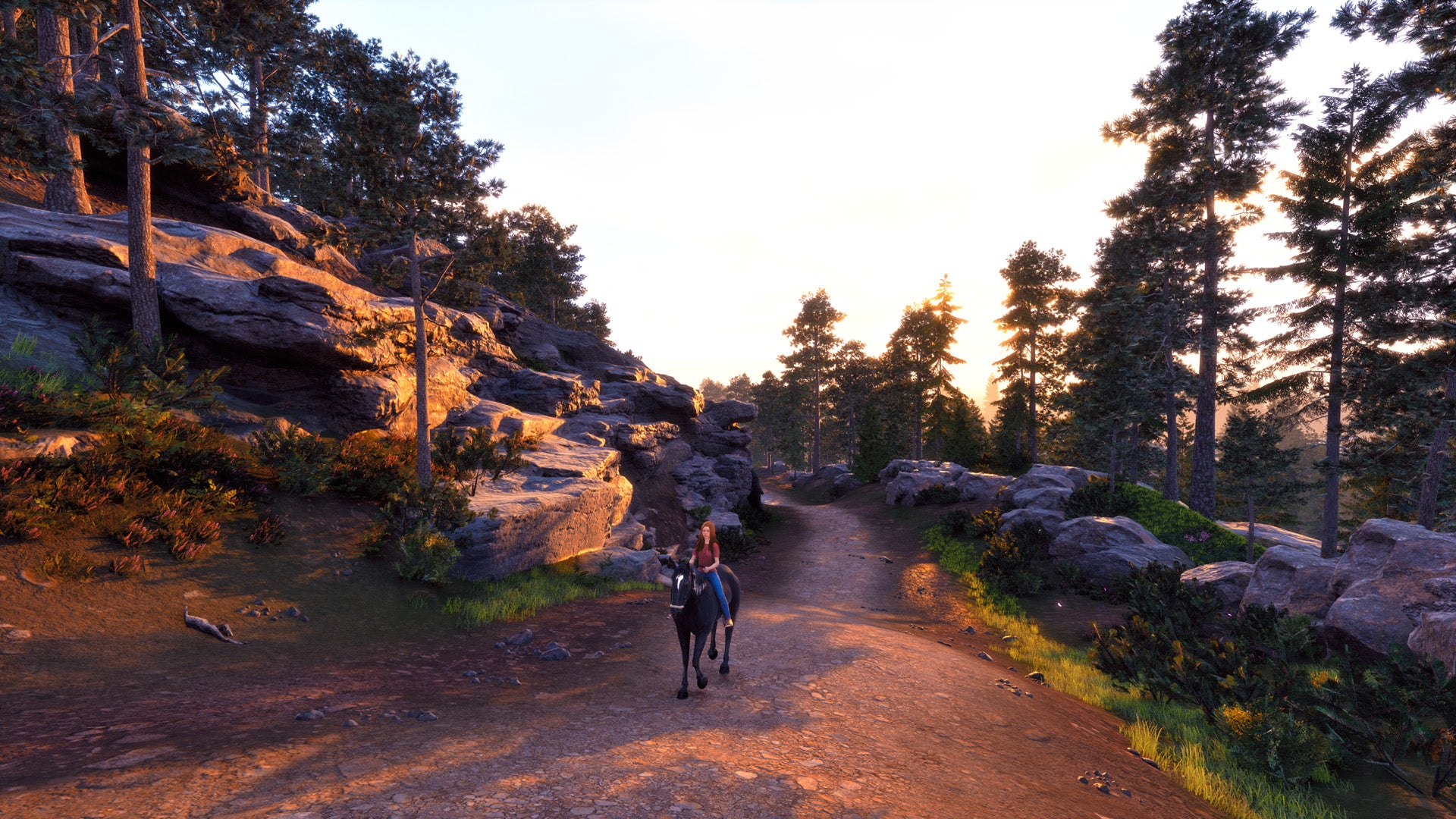 Windstorm: Start of a Great Friendship Remastered - PlayStation 5 - Video Games by Mindscape The Chelsea Gamer