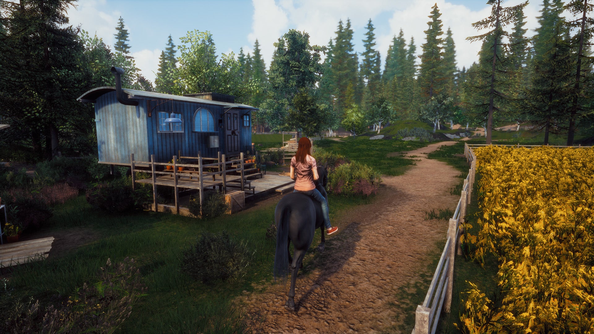 Windstorm: Start of a Great Friendship Remastered - Nintendo Switch - Code In A Box - Video Games by Mindscape The Chelsea Gamer