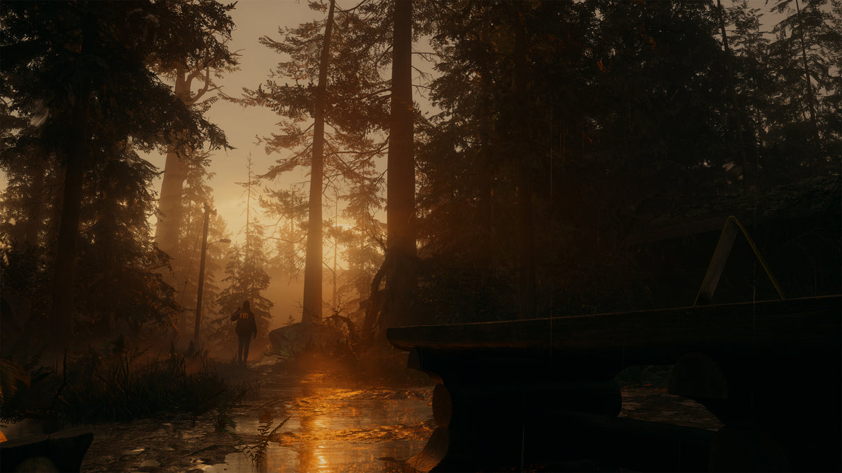 Alan Wake II - Deluxe Edition - PlayStation 5 - Video Games by U&I The Chelsea Gamer