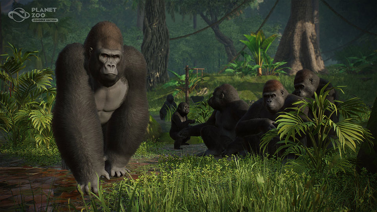 Planet Zoo: Console Edition - Xbox Series X - Video Games by Fireshine Games The Chelsea Gamer