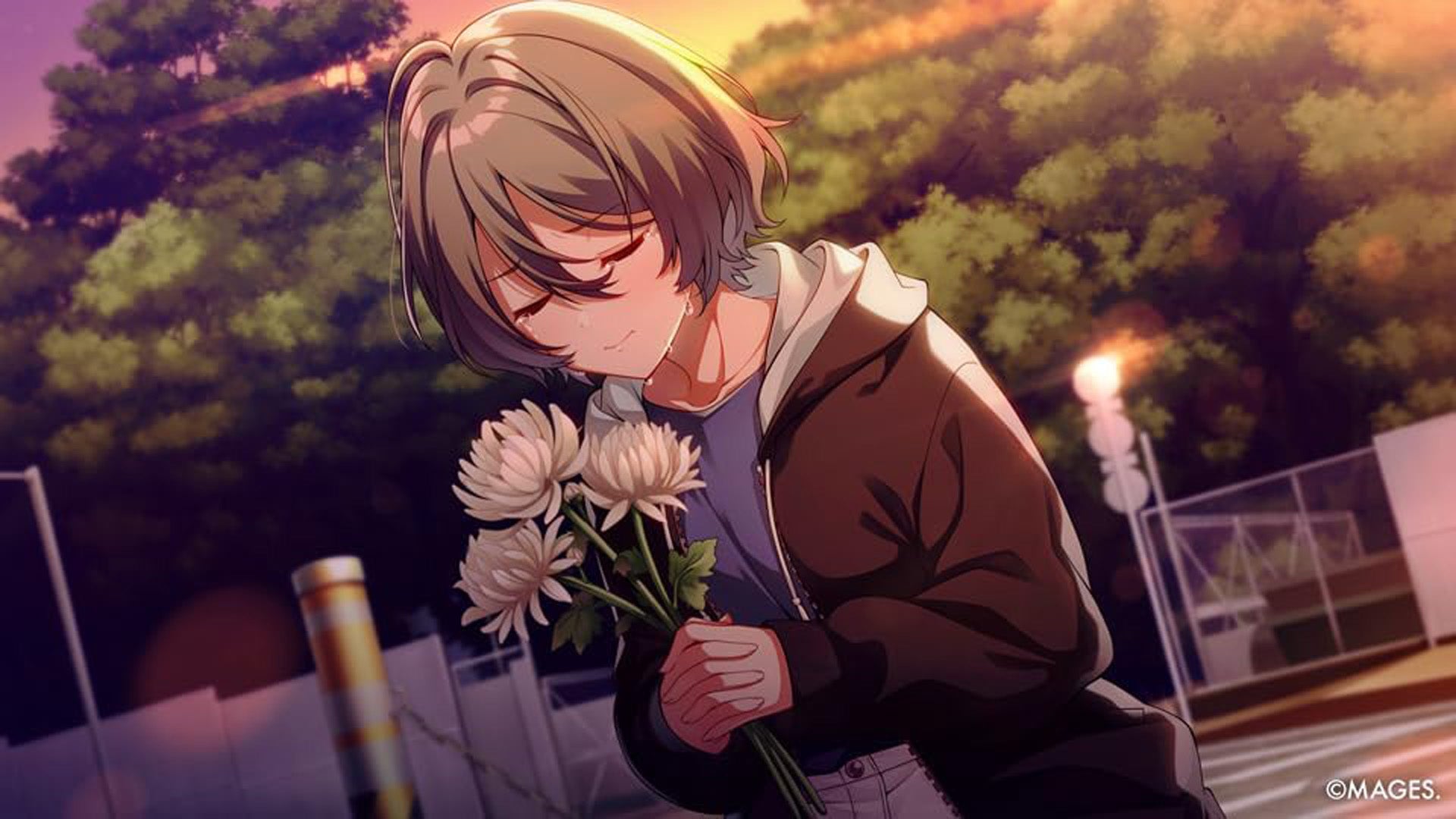 SINce Memories - Nintendo Switch - Video Games by Funstock The Chelsea Gamer