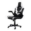 Trust Gaming GXT 703W Riye Gaming  Chair - White