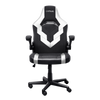 Trust Gaming GXT 703W Riye Gaming  Chair - White