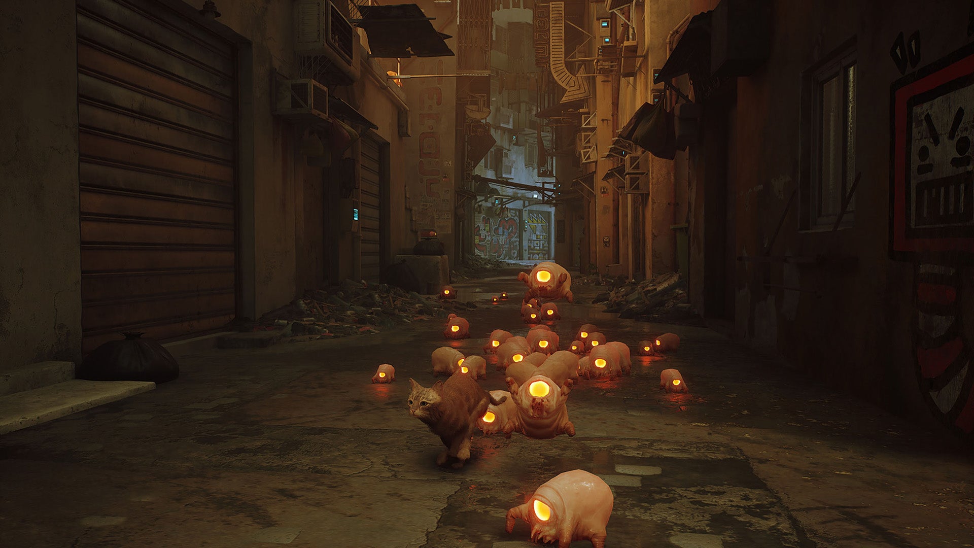 Stray - Nintendo Switch - Video Games by Skybound Games The Chelsea Gamer