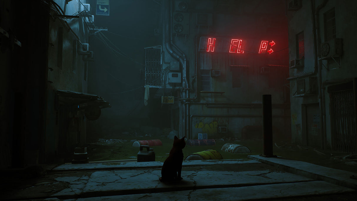 Stray - Nintendo Switch - Video Games by Skybound Games The Chelsea Gamer
