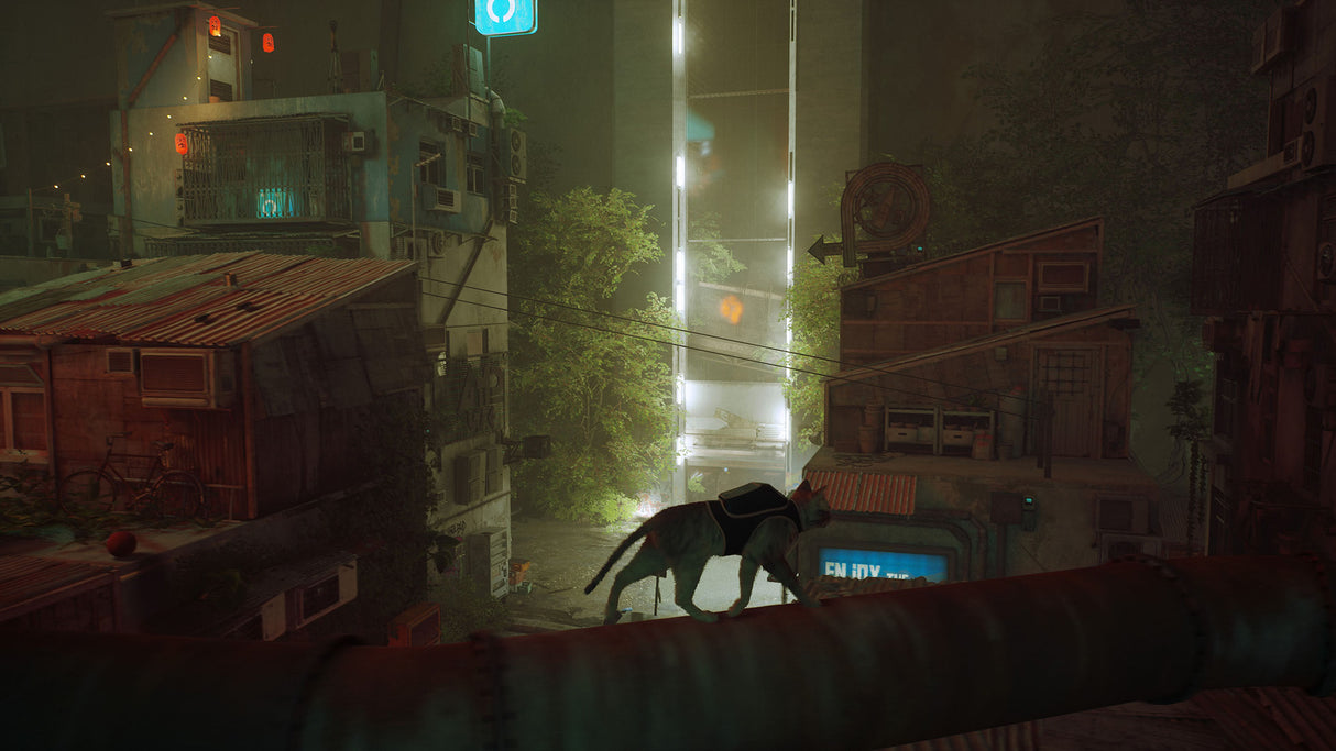 Stray - Nintendo Switch - Video Games by Skybound Games The Chelsea Gamer