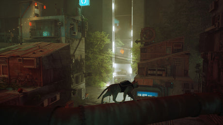 Stray - Nintendo Switch - Video Games by Skybound Games The Chelsea Gamer