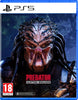 Predator Hunting Grounds - PlayStation 5