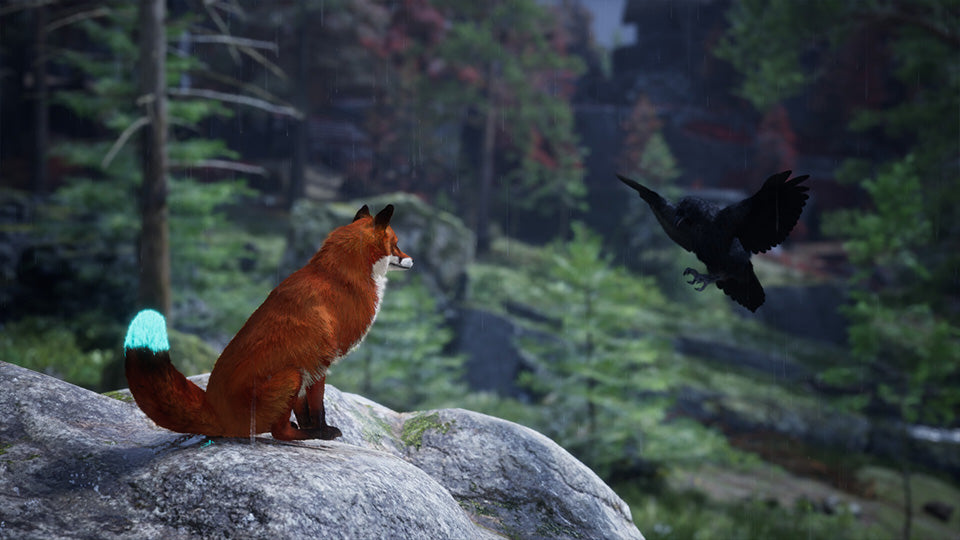 Spirit of the North 2 - PlayStation 5 - Video Games by Silver Lining Interactive The Chelsea Gamer