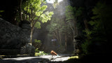 Spirit of the North 2 - PlayStation 5 - Video Games by Silver Lining Interactive The Chelsea Gamer