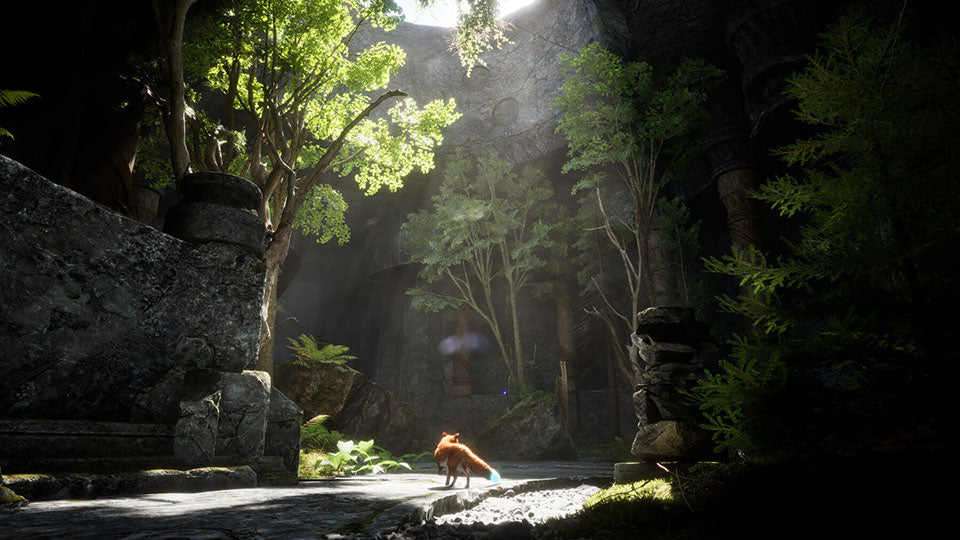 Spirit of the North 2 - PlayStation 5 - Video Games by Silver Lining Interactive The Chelsea Gamer