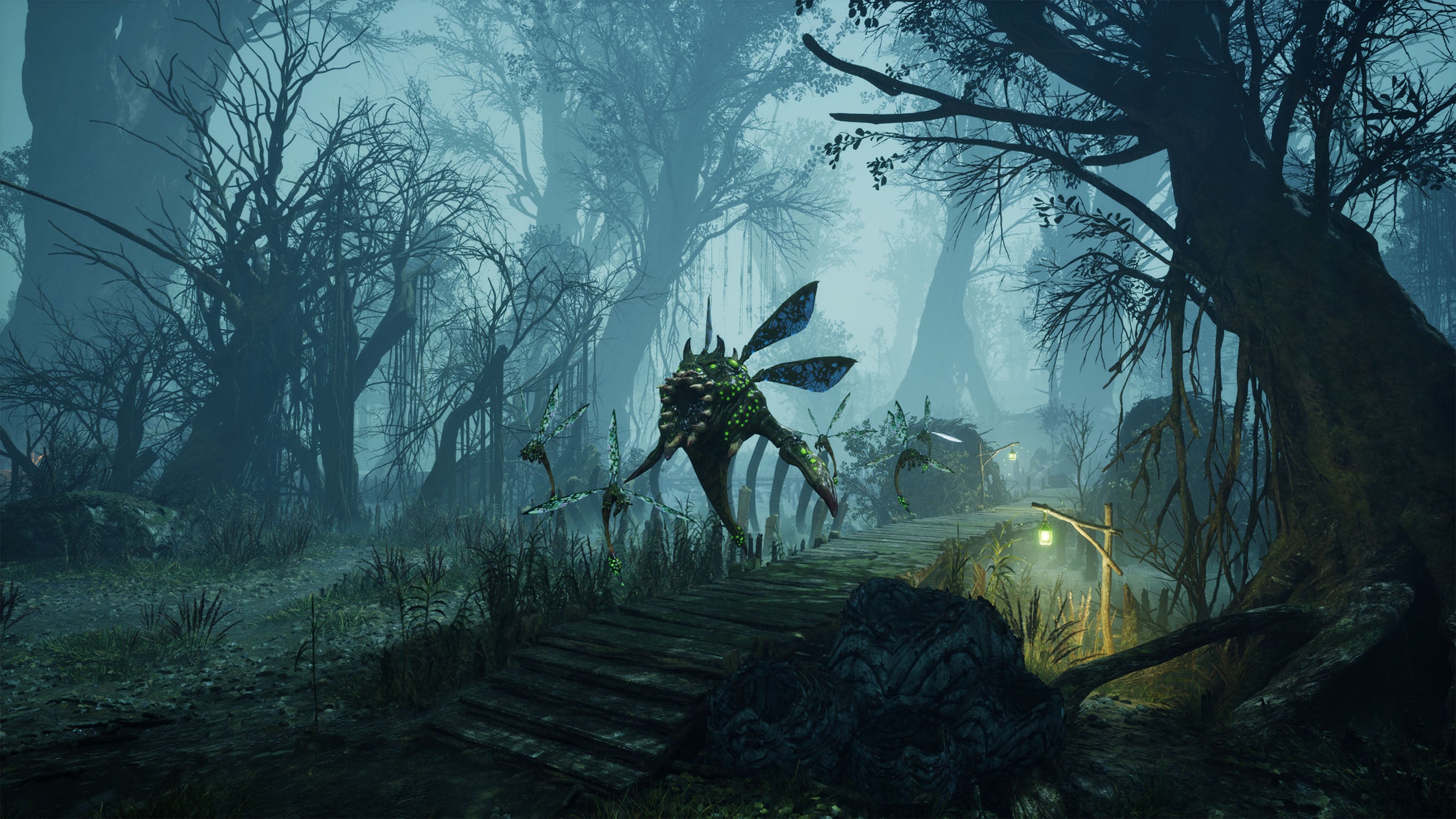 Dragonkin: The Banished - Xbox Series X - Video Games by Maximum Games Ltd (UK Stock Account) The Chelsea Gamer