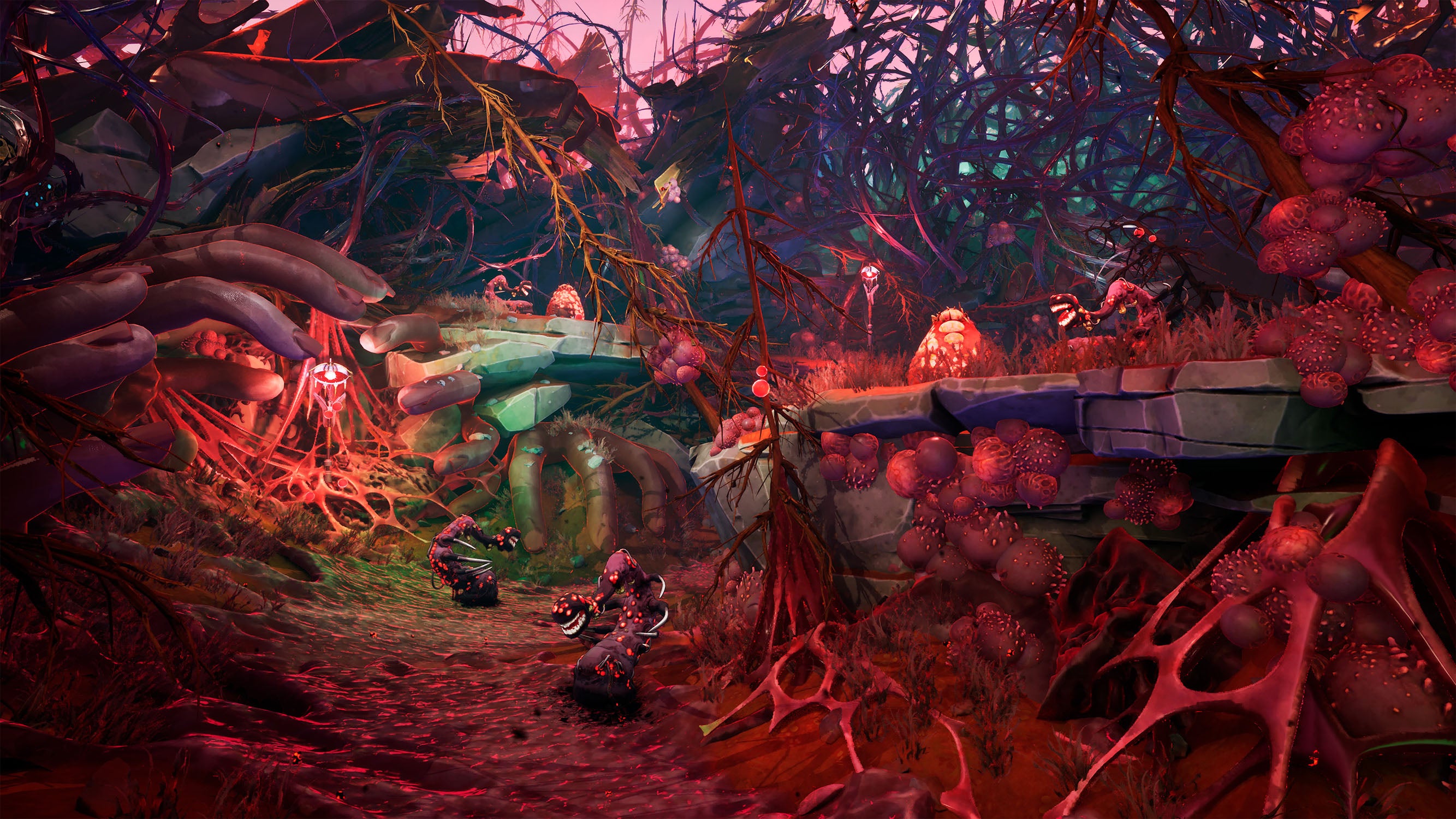 Edge of Memories - Xbox Series X - Video Games by Maximum Games Ltd (UK Stock Account) The Chelsea Gamer