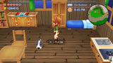 Harvest Moon: The Lost Valley & Skytree Village - Collector's Edition - Nintendo Switch - Video Games by Numskull Games The Chelsea Gamer
