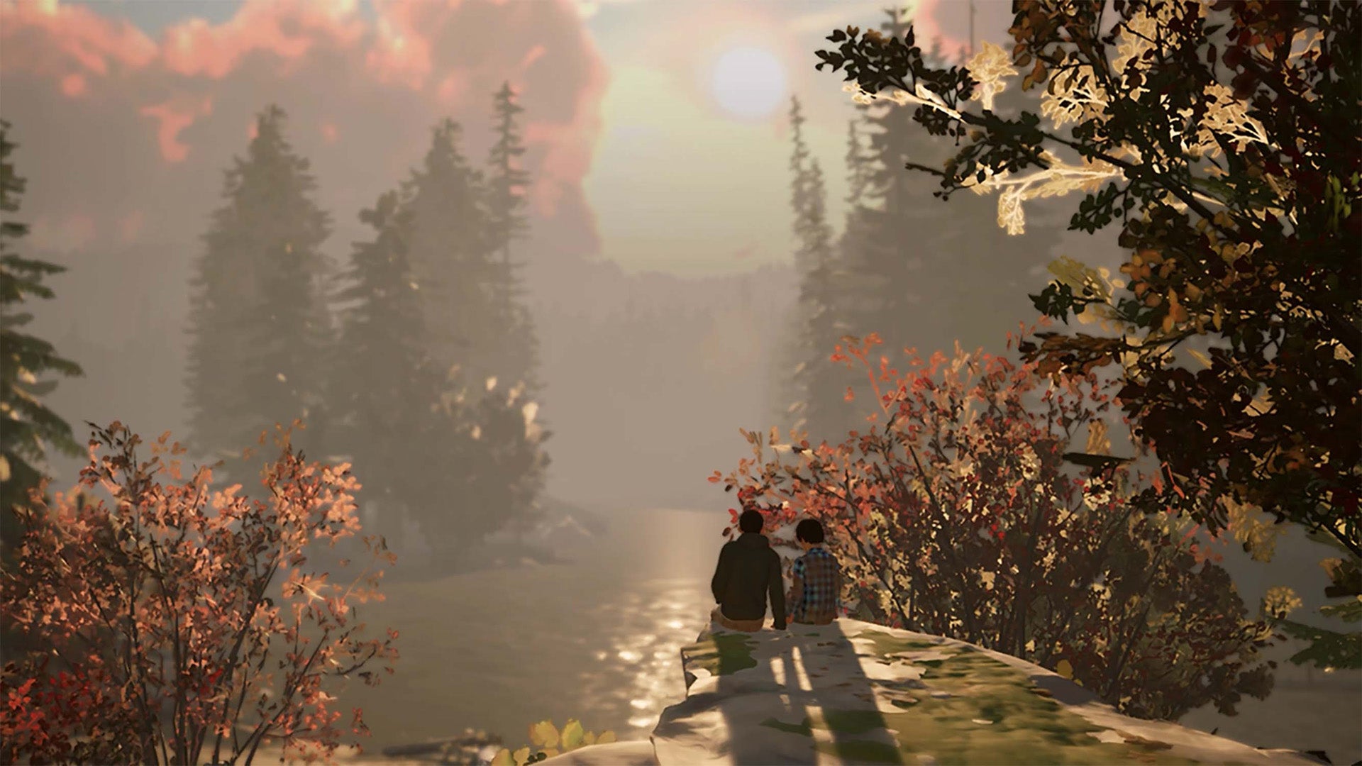 Life is Strange 2 - Nintendo Switch - Code In A Box - Video Games by Bandai Namco Entertainment The Chelsea Gamer