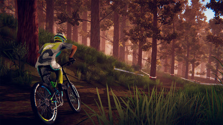 Descenders - Nintendo Switch - Code In A Box - Video Games by Fireshine Games The Chelsea Gamer