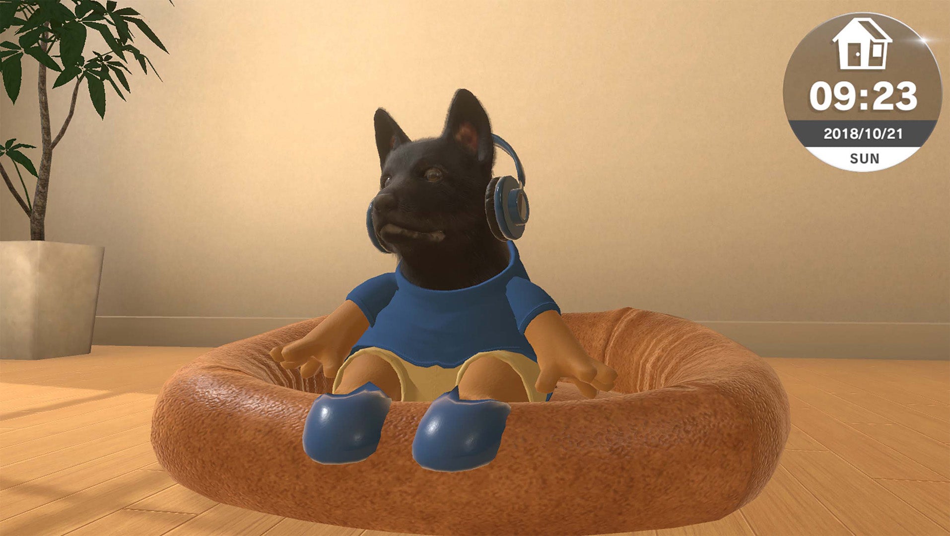 Little Friends: Dogs & Cats - Nintendo Switch - Code In A Box - Video Games by Fireshine Games The Chelsea Gamer