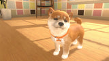 Little Friends: Dogs & Cats - Nintendo Switch - Code In A Box - Video Games by Fireshine Games The Chelsea Gamer