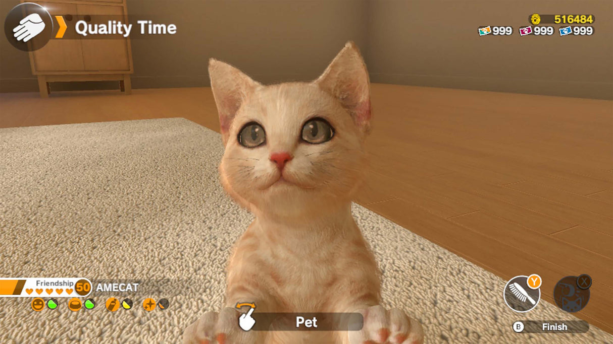 Little Friends: Dogs & Cats - Nintendo Switch - Code In A Box - Video Games by Fireshine Games The Chelsea Gamer