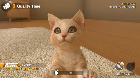 Little Friends: Dogs & Cats - Nintendo Switch - Code In A Box - Video Games by Fireshine Games The Chelsea Gamer