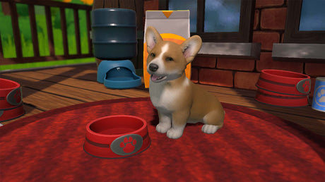 Little Friends: Puppy Island - Nintendo Switch - Code In A Box - Video Games by Fireshine Games The Chelsea Gamer