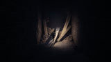 REANIMAL - Xbox Series X - Video Games by Nordic Games The Chelsea Gamer
