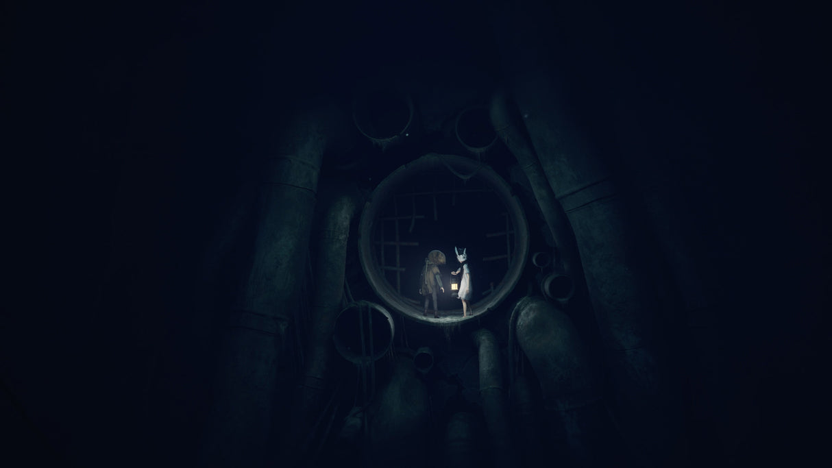 REANIMAL - Nintendo Switch 2 - Video Games by Nordic Games The Chelsea Gamer