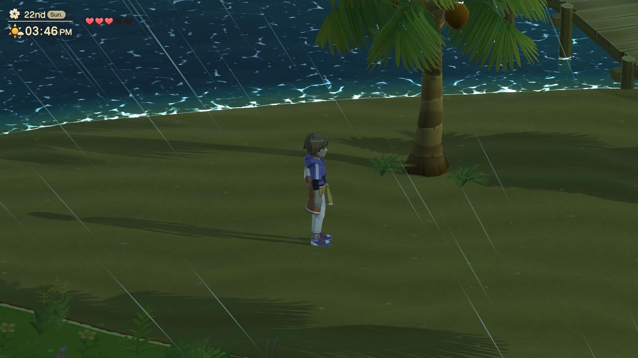 Harvest Moon: Home Sweet Home Special Edition - PlayStation 5 - Video Games by Numskull Games The Chelsea Gamer