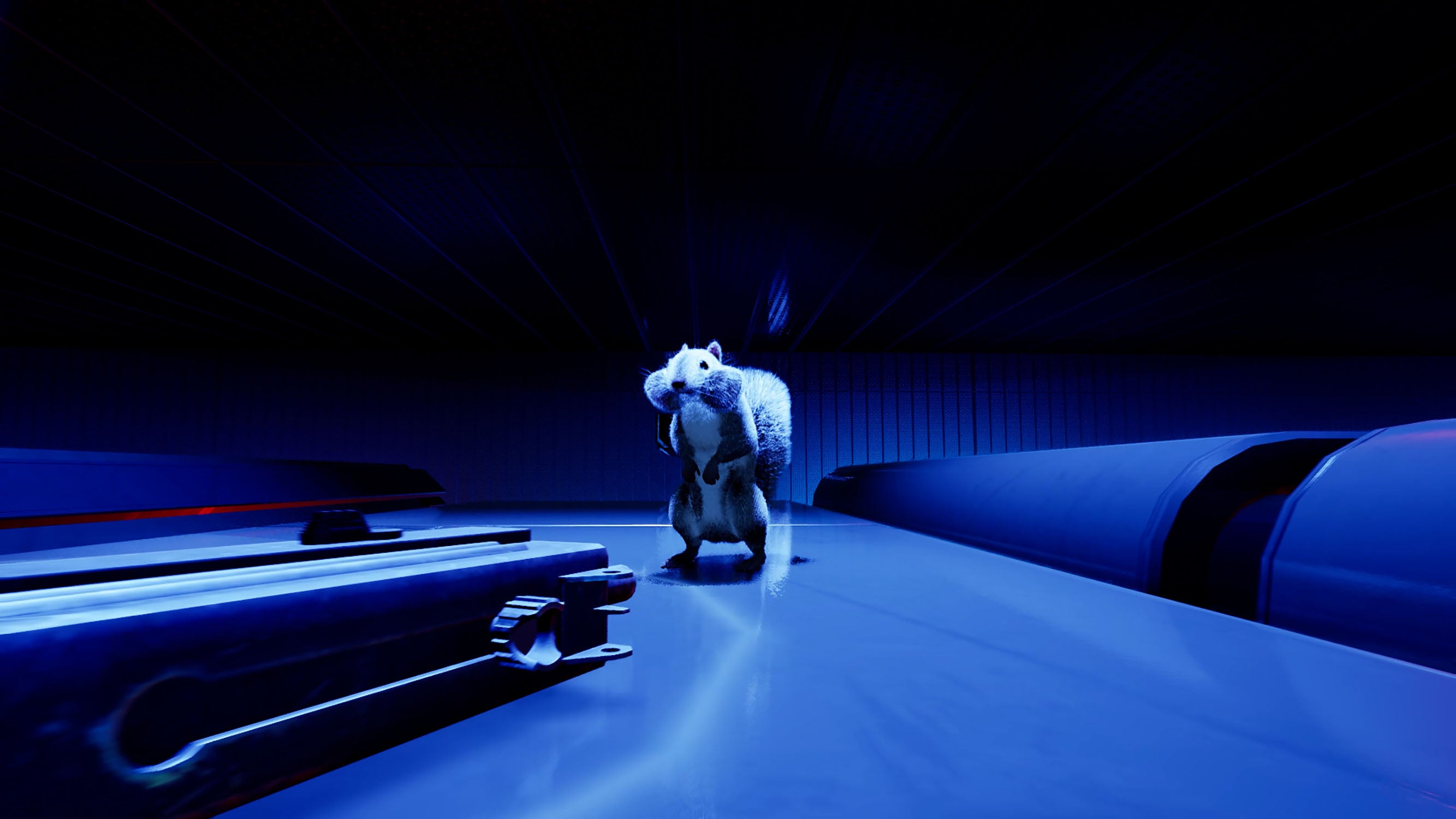 Squirrel With A Gun - Nintendo Switch 2 - Video Games by Maximum Games Ltd (UK Stock Account) The Chelsea Gamer