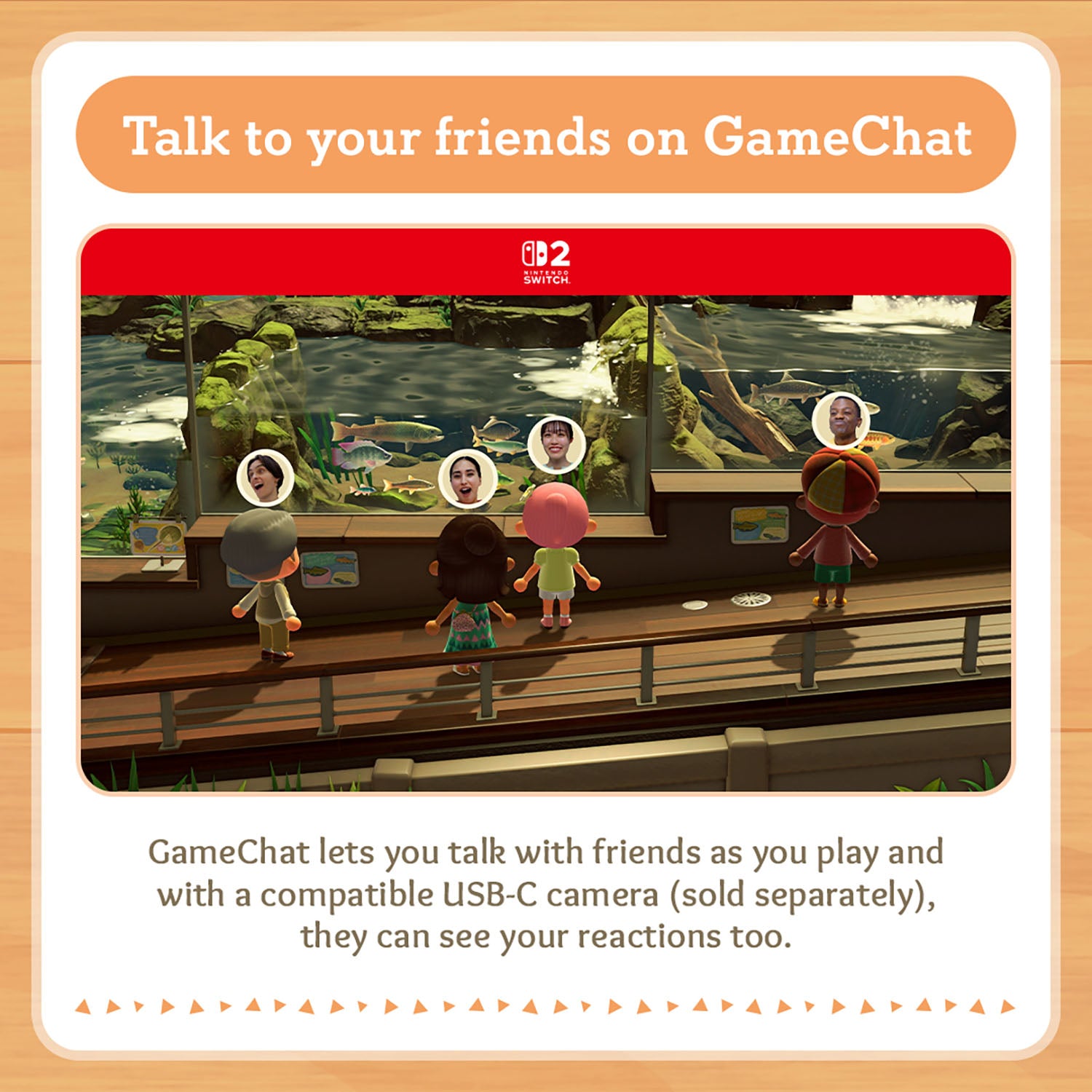 Animal Crossing New Horizons - Nintendo Switch 2