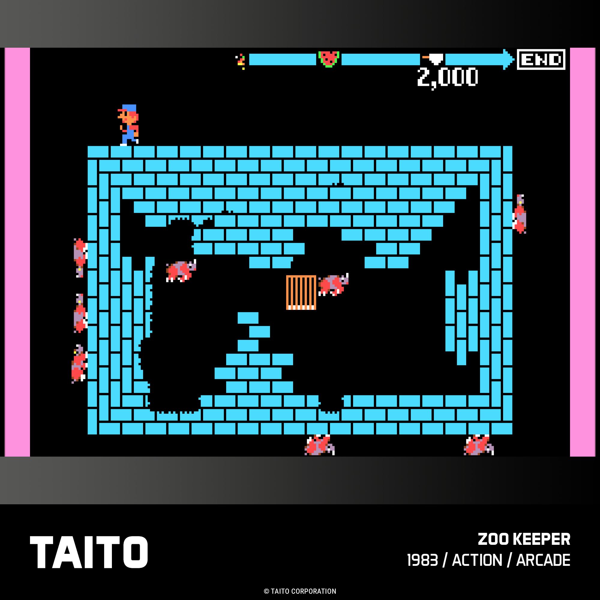 TAITO Arcade 3 - Evercade