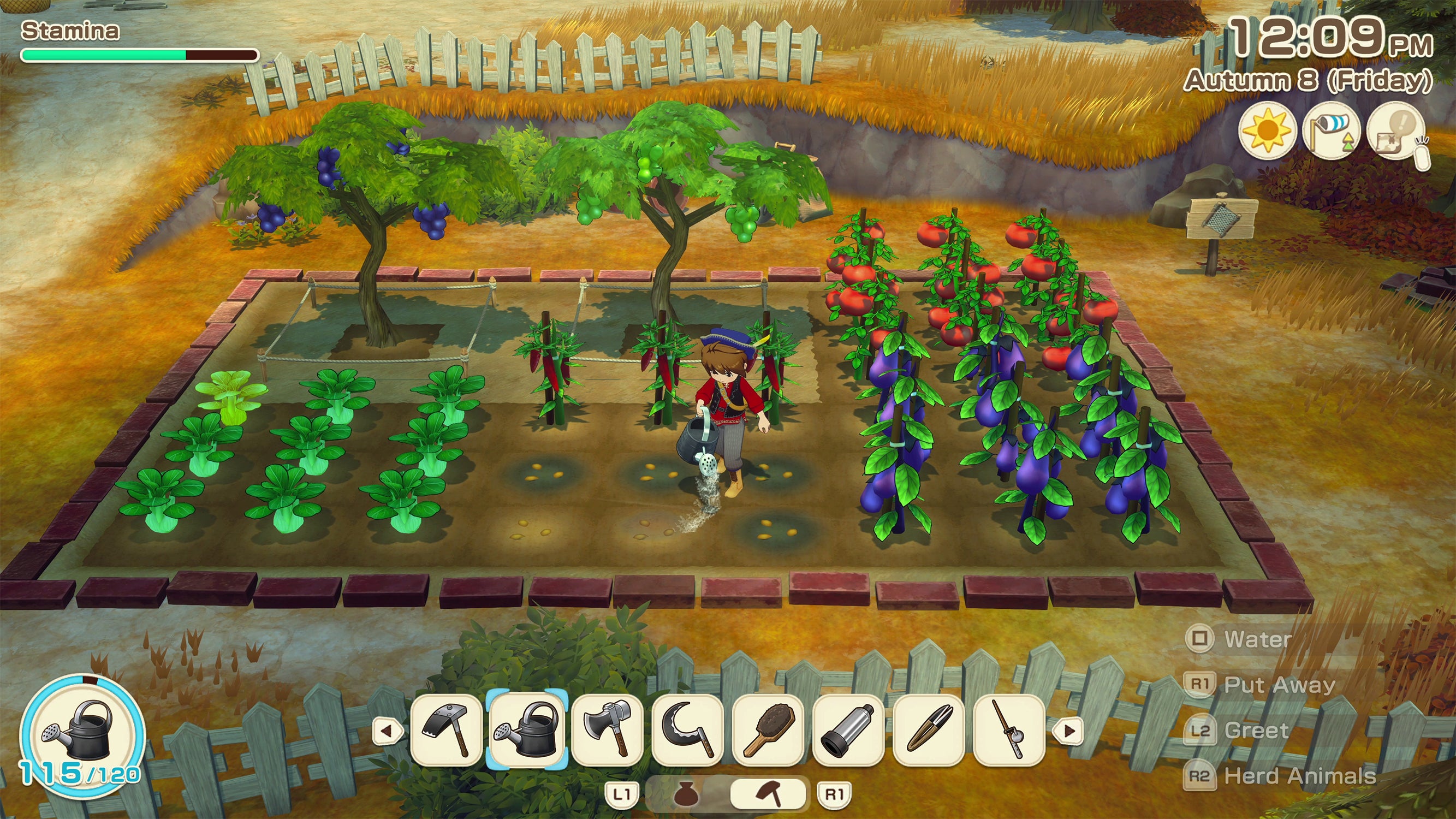 STORY OF SEASONS: Grand Bazaar - PlayStation 5 - Video Games by U&I The Chelsea Gamer