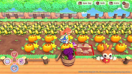 Pretty Princess Magical Garden Island  - Nintendo Switch - Code In A Box - Video Games by Numskull Games The Chelsea Gamer