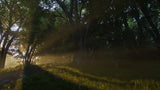 Fable - PlayStation 5