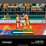 NEOGEO Arcade Collection 4 - Evercade
