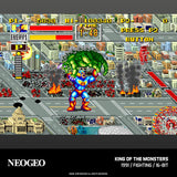 NEOGEO Arcade Collection 4 - Evercade