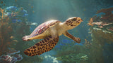 Planet Zoo 2 - PlayStation 5
