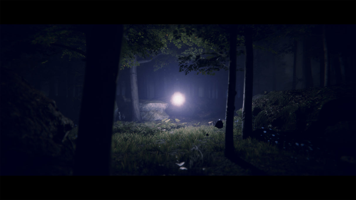Project Songbird - PlayStation 5