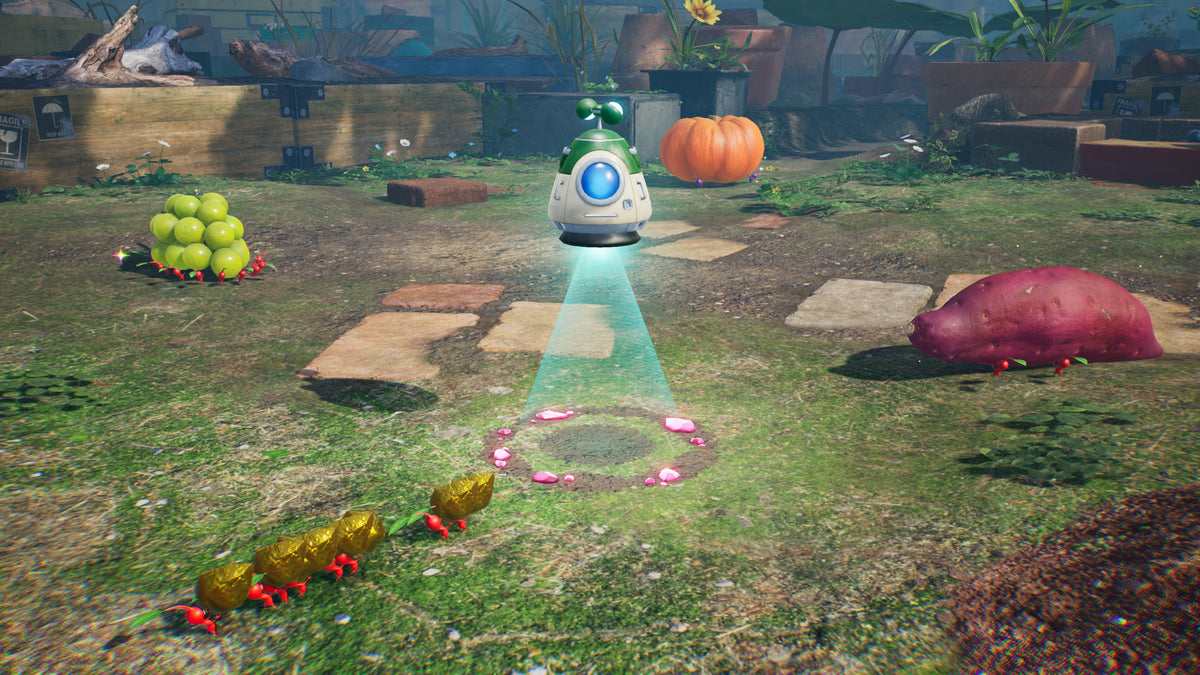 Pikmin 4 – Nintendo Switch 2 Edition + Dandori Academy - Nintendo Switch 2