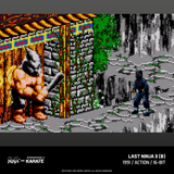 The Last Ninja and IK Collection - Evercade