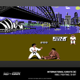 The Last Ninja and IK Collection - Evercade
