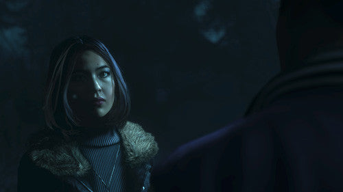 Until Dawn - PS4 - Video Games by Sony The Chelsea Gamer