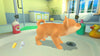 My Universe: Puppies and Kittens - Video Games by Maximum Games Ltd (UK Stock Account) The Chelsea Gamer