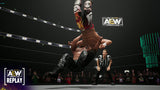 AEW: Fight Forever - PlayStation 5 - Video Games by Nordic Games The Chelsea Gamer