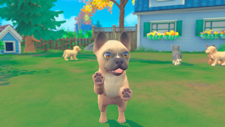 My Universe: Puppies and Kittens - Video Games by Maximum Games Ltd (UK Stock Account) The Chelsea Gamer