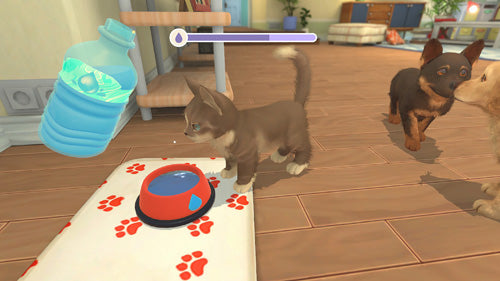 My Universe: Puppies and Kittens - Video Games by Maximum Games Ltd (UK Stock Account) The Chelsea Gamer