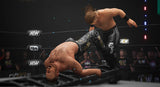 AEW: Fight Forever - Nintendo Switch - Video Games by Nordic Games The Chelsea Gamer
