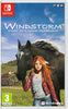 Windstorm: Start of a Great Friendship - Nintendo Switch - Video Games by Mindscape The Chelsea Gamer
